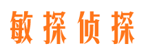 平房侦探公司